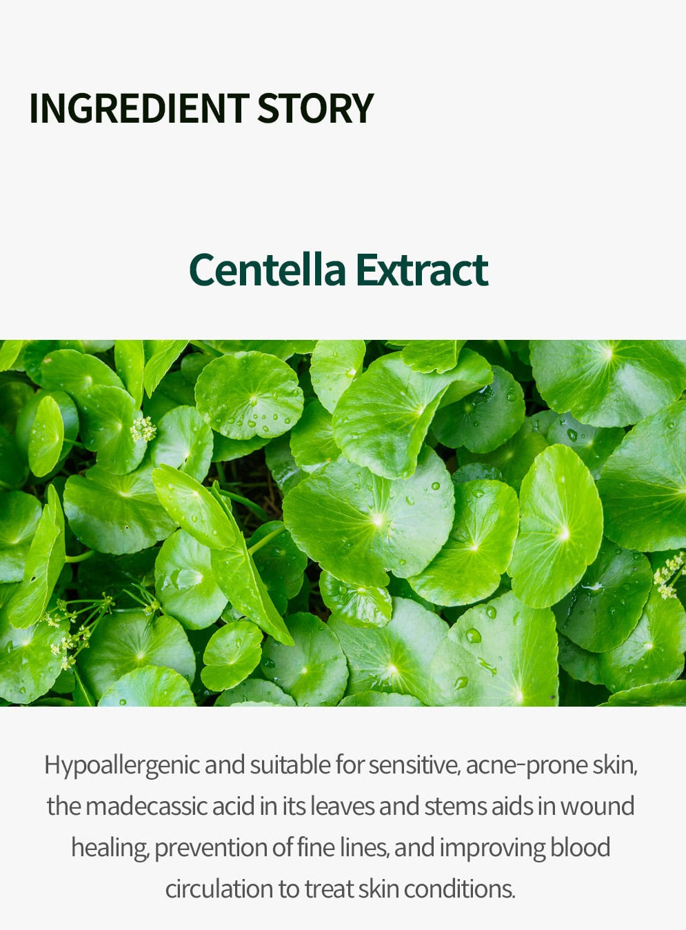 Yur Centella Sheet Mask